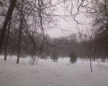 парк под снегом