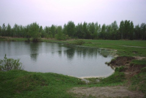 лесное озеро