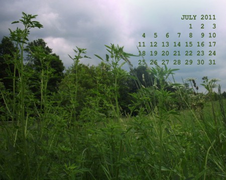 летняя фотография с календарем на июль 2011 года