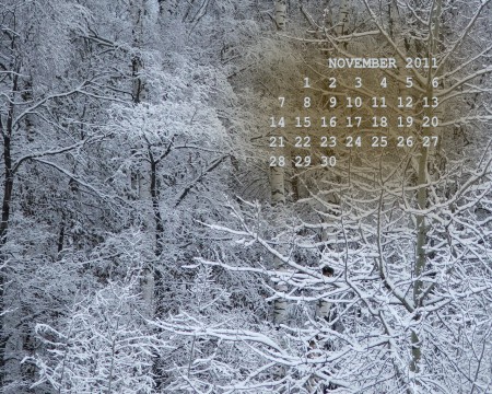 фото после снегопада календарь на ноябрь 2011