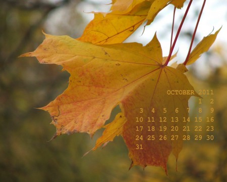 календарь на рабочий стол с фото листьев клена на октябрь 2011