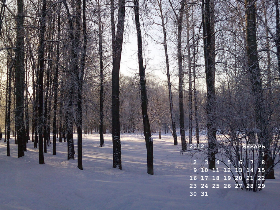 календарь на январь 2012 года
