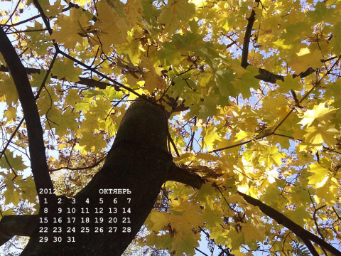 октябрь фото Клен календарь 2012