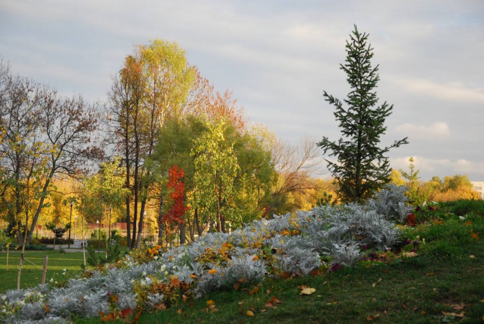 фото парка осенью